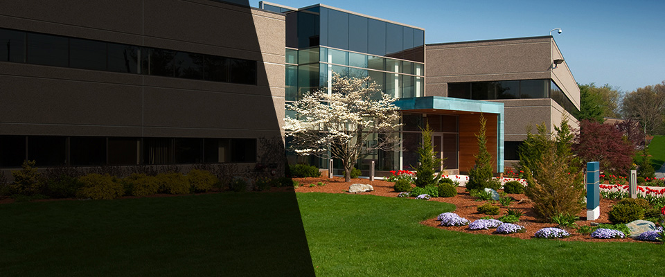 Princeton Junction Landscapers