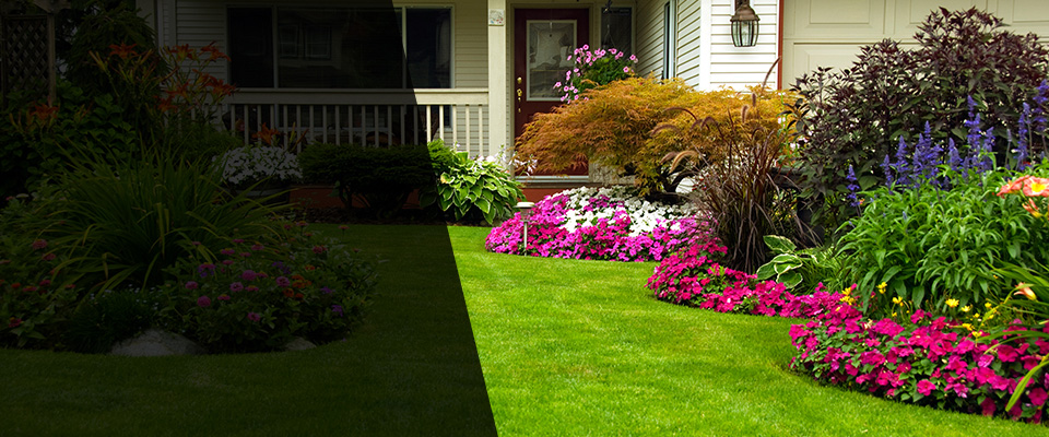 Princeton Junction Landscapers