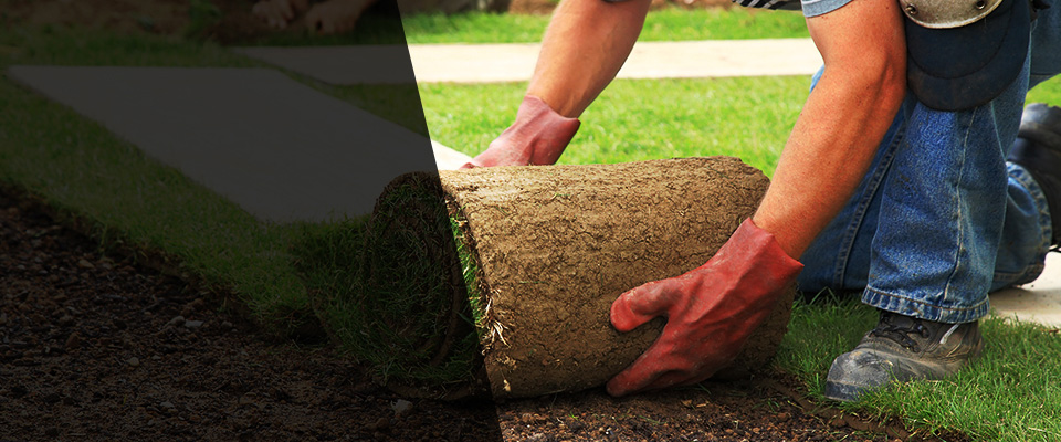 Princeton Junction Landscapers